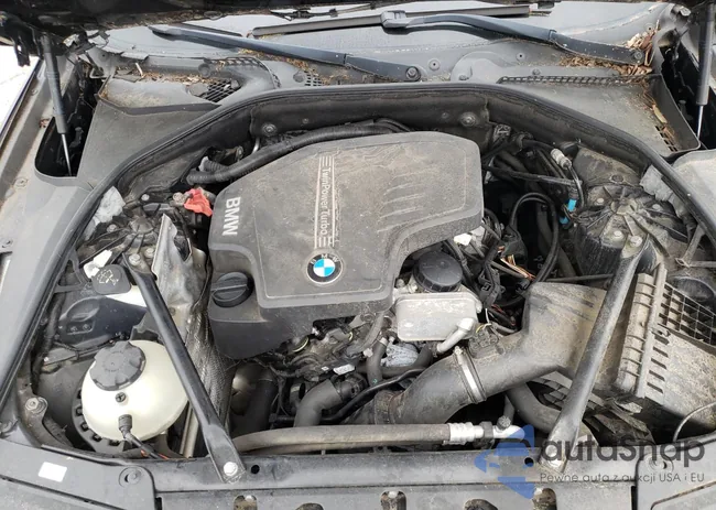 WBAXG5C50CDX06409: 46902004