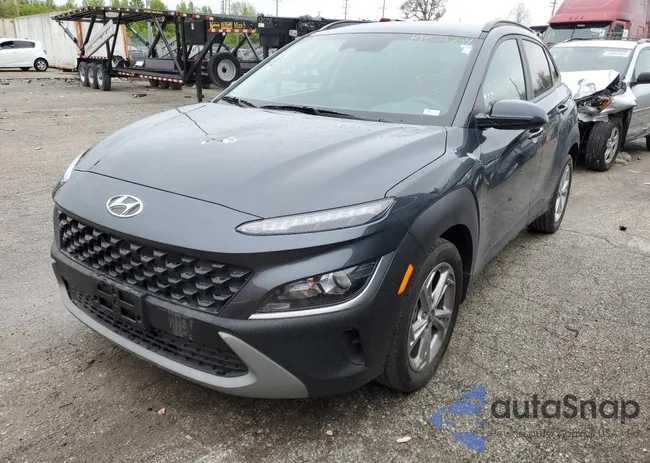 KM8K6CAB1NU831513: 49822704