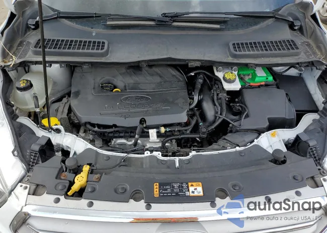 1FMCU9GD9JUA44003: 52176664