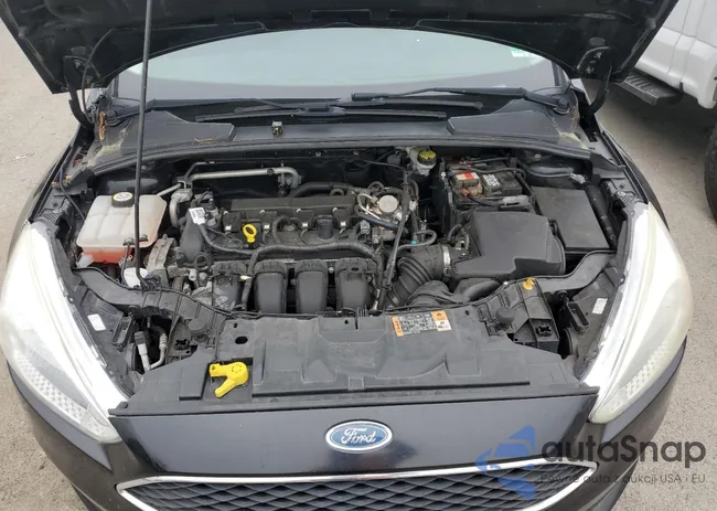 1FADP3F28GL341300: 51655564