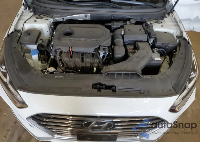 5NPE24AF0KH819364: 51671394