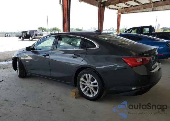 1G1ZD5ST5JF131223: 49311014