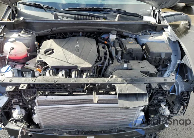 KNDPU3AF0P7133267: 50001834