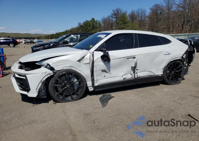 ZPBUA1ZL2KLA04028: 50952244