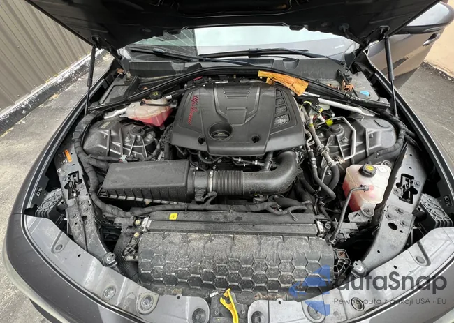 ZARFAEEN9H7544398: 49740104