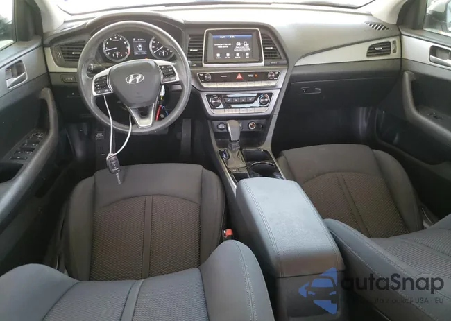 5NPE24AF1KH755996: 56341644