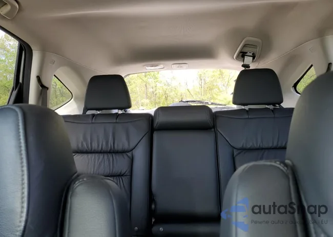 5J6RM4H79EL100229: 53308074