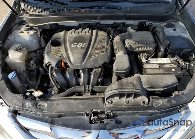 5NPEC4AC6CH381504: 56295254