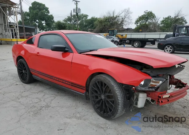 1ZVBP8AM0C5205472: 54204694