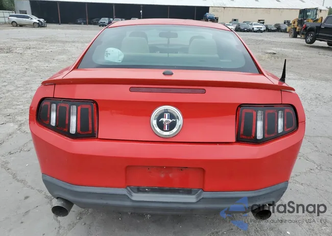 1ZVBP8AM0C5205472: 54204694