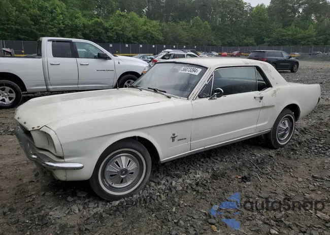 6T07T240184: 56073394