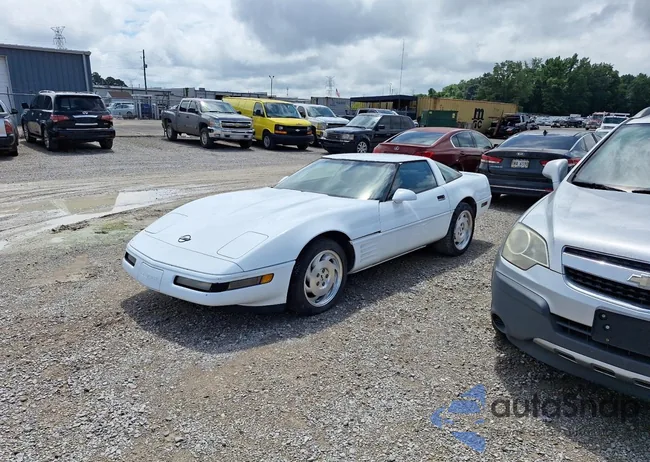 1G1YY23P0P5116854: 55650384