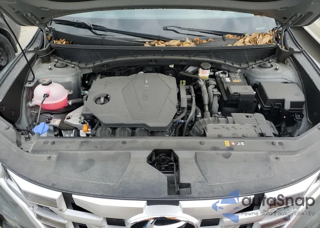 5NTJBDAE1PH071111: 55102004