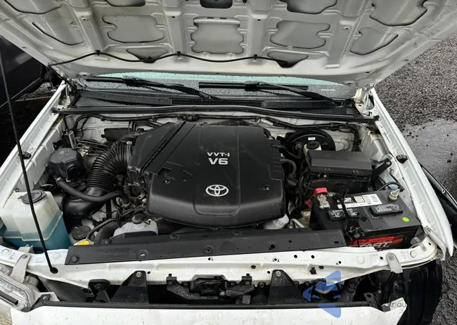 5TFMU4FN5DX017891: 53716244