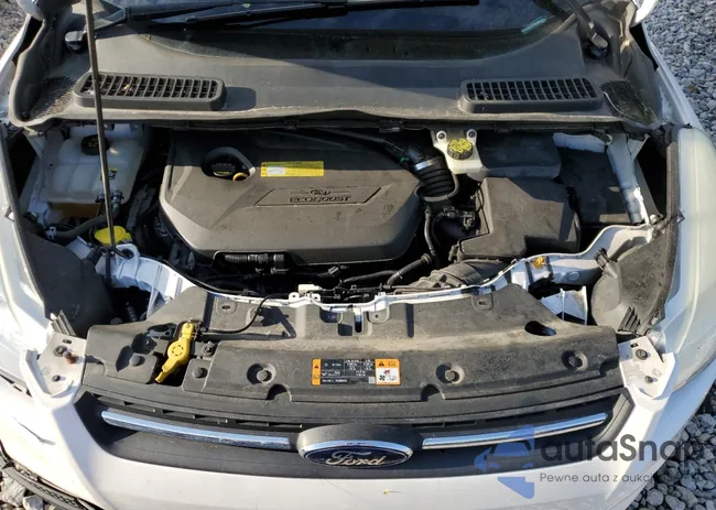 1FMCU9GX0DUD09602: 54547264