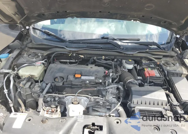 19XFC2F50GE018306: 54568024