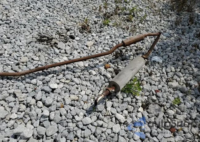 190DC041139D: 55347204