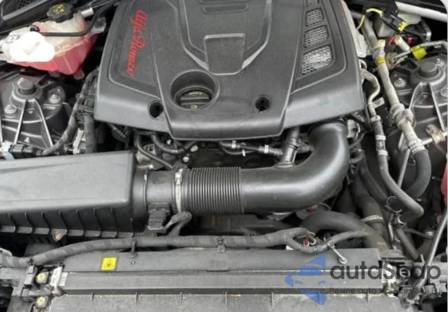 ZARFAEEN9H7544398: 61392504