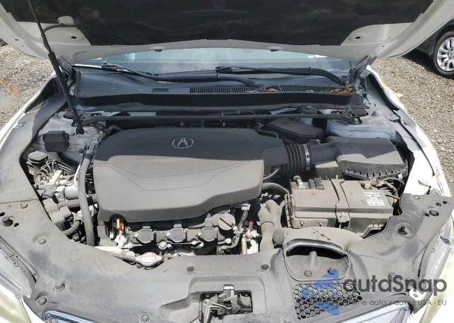 19UUB2F34GA004275: 60828084