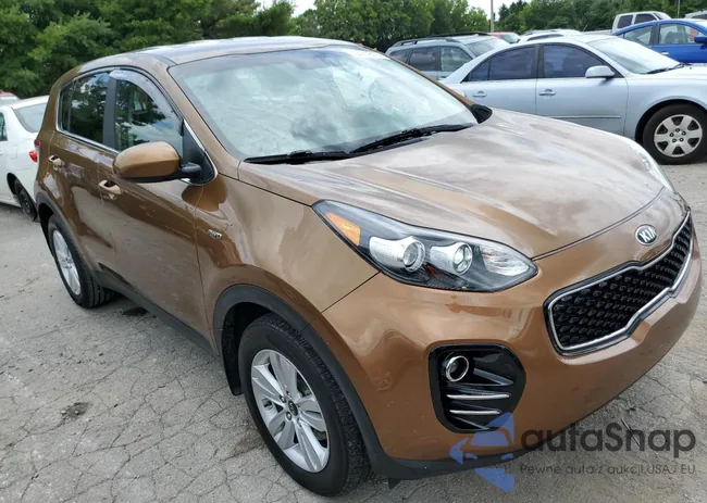 KNDPMCACXH7104625: 60051813