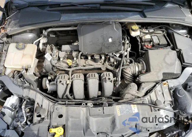 1FADP3E25HL301856: 60806213