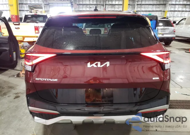 KNDPXCAGXP7011385: 61784873