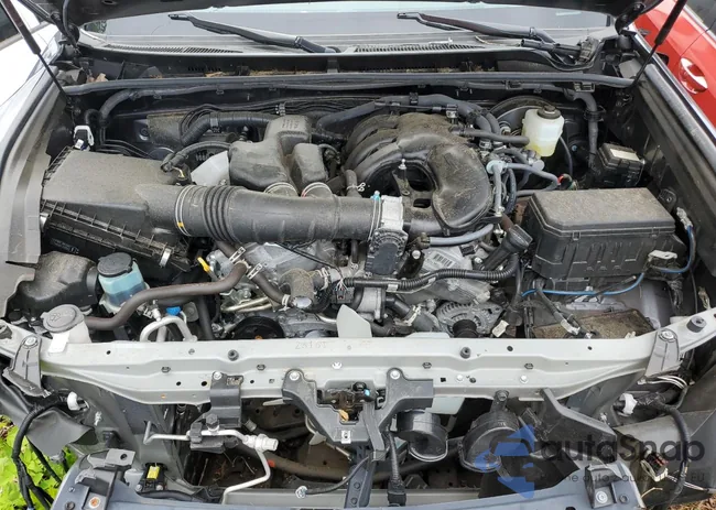 JTEEU5JR1P5281366: 55408083