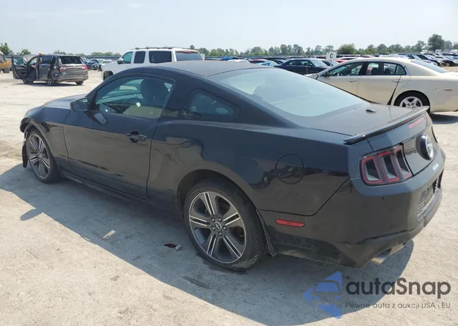 1ZVBP8AM6E5326056: 61350043