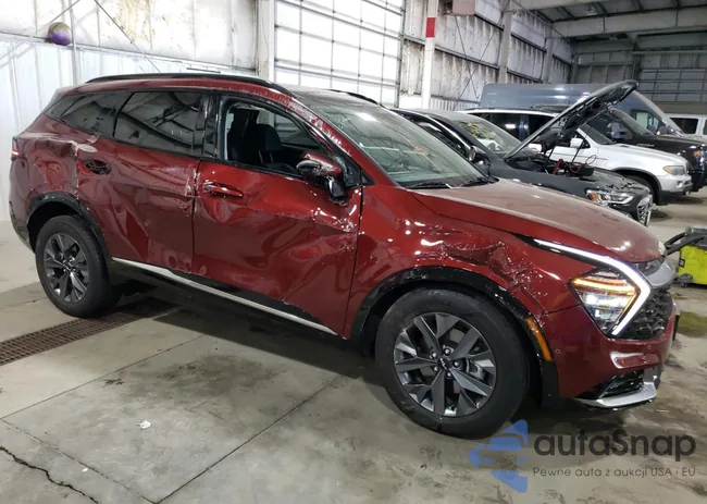 KNDPXCAGXP7011385: 61784873