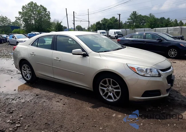 1G11C5SL5FF297880: 60614963