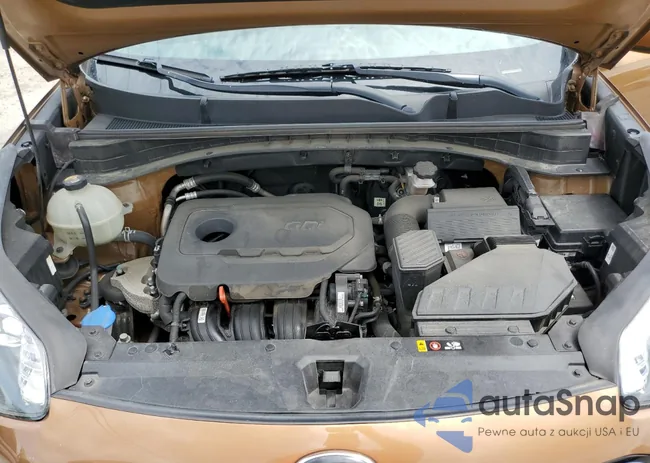 KNDPMCACXH7104625: 60051813