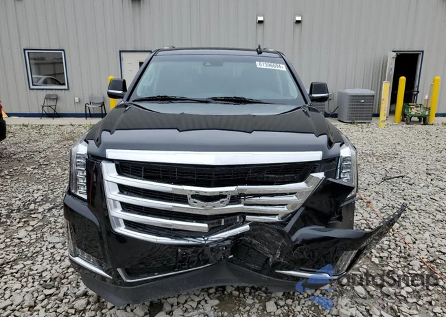 1GYS4CKJ4LR204041: 61396694