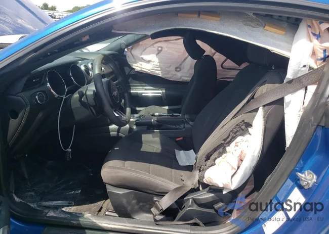 1FA6P8AM5H5226433: 62088763