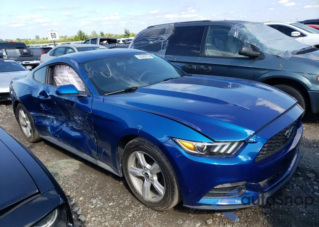 1FA6P8AM5H5226433: 62088763