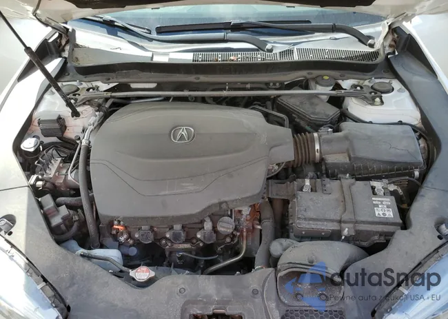 19UUB2F56JA005436: 66319963