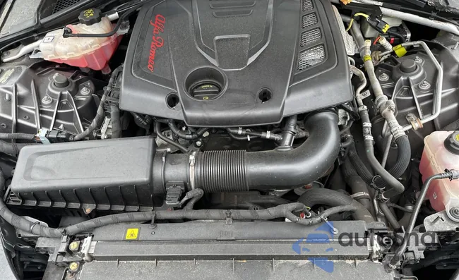 ZARFAEEN9H7544398: 66529233