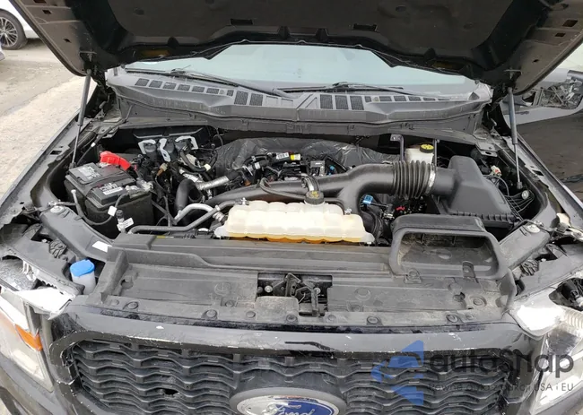 1FTEW1CP5NKD51355: 63923913