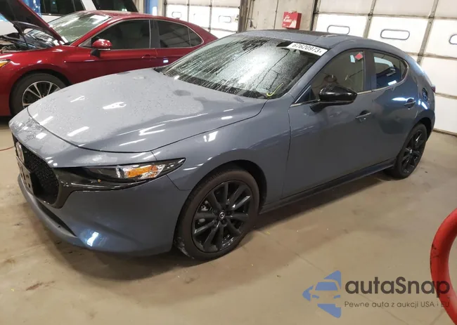 JM1BPALM6P1602690: 67620973