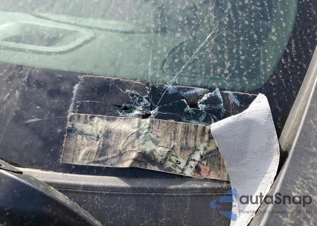 1GT49NEYXLF136866: 70106573