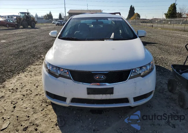 KNAFU4A28A5064973: 74142443