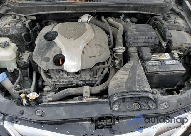 5NPEC4AB0DH633773: 73631113