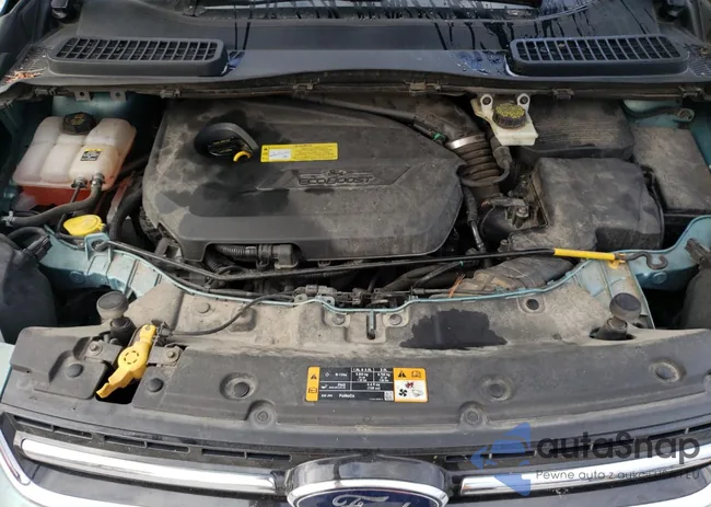 1FMCU0HX5DUA92719: 73643253