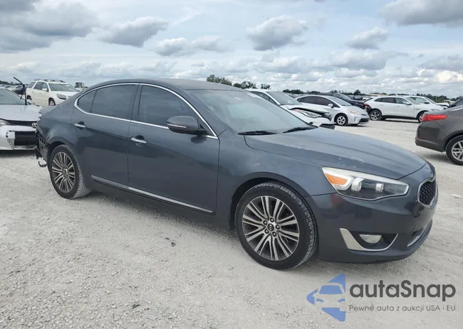 KNALN4D77F5194466: 71380783