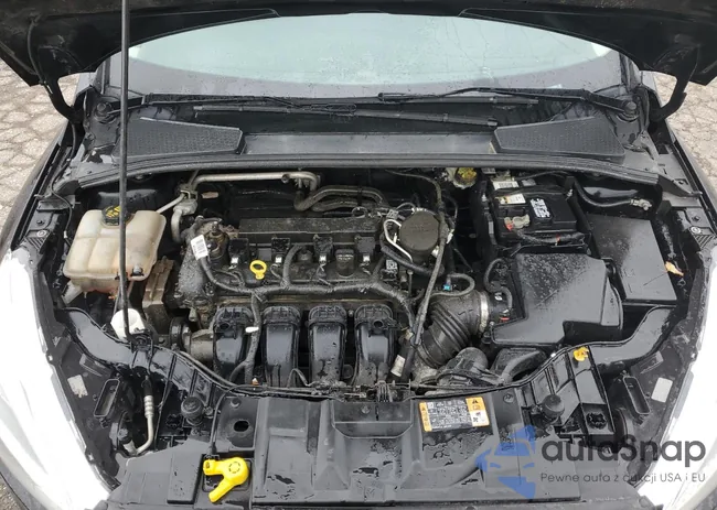 1FADP3F25GL233703: 72588713