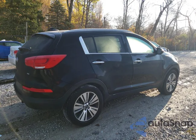 KNDPCCAC1E7631497: 74273743