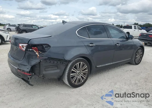 KNALN4D77F5194466: 71380783