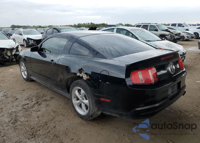 1ZVBP8AN9A5154589: 73266473