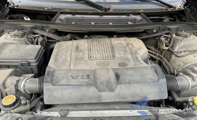 SALMF1D44CA388117: 75732353