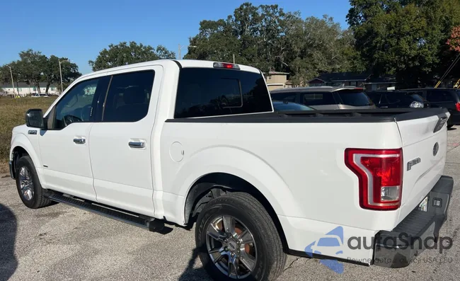 1FTEW1CP3GKE53398: 77445213