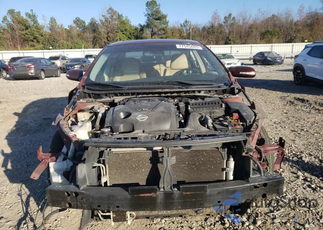 1N4AA5AP0BC845562: 77545883